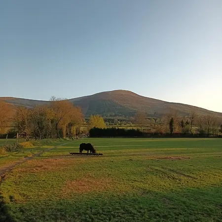 In * Baltinglass