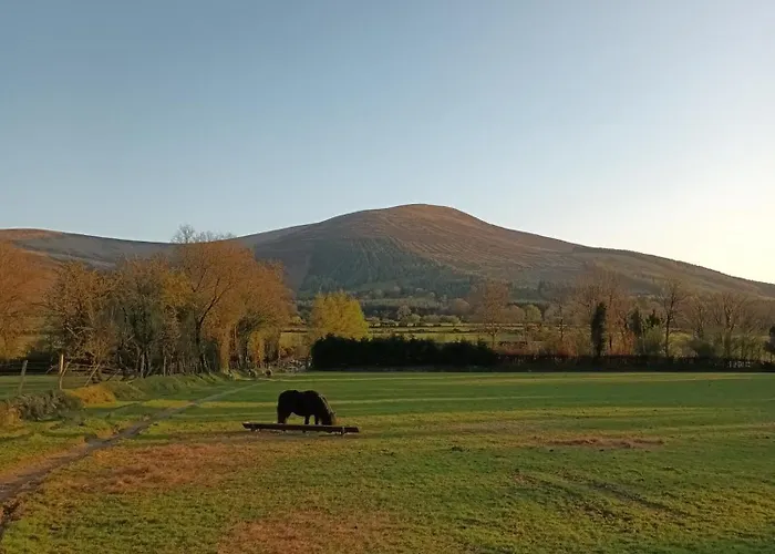 In * Baltinglass